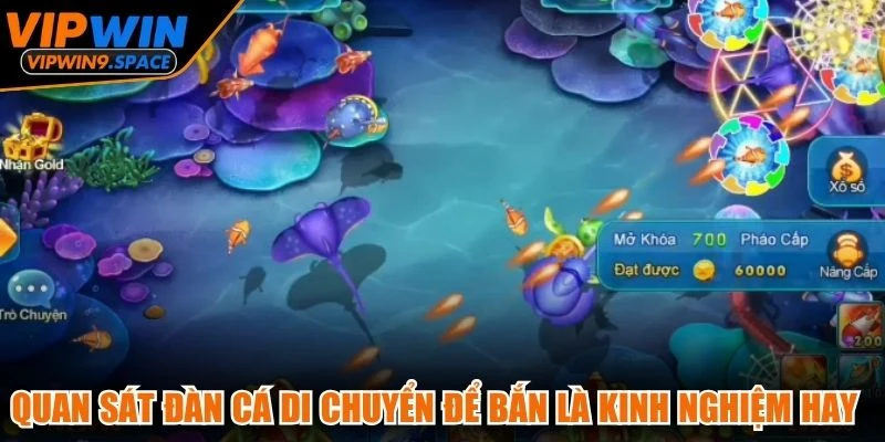 Quan sát đàn cá di chuyển để bắn là kinh nghiệm chơi bắn cá VIPWIN hay
