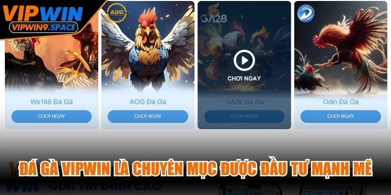 Đá gà VIPWIN là chuyên mục được đầu tư mạnh mẽ