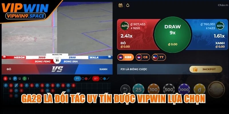 GA28 là đối tác uy tín được VIPWIN lựa chọn nhằm nâng cao chất lượng dịch vụ
