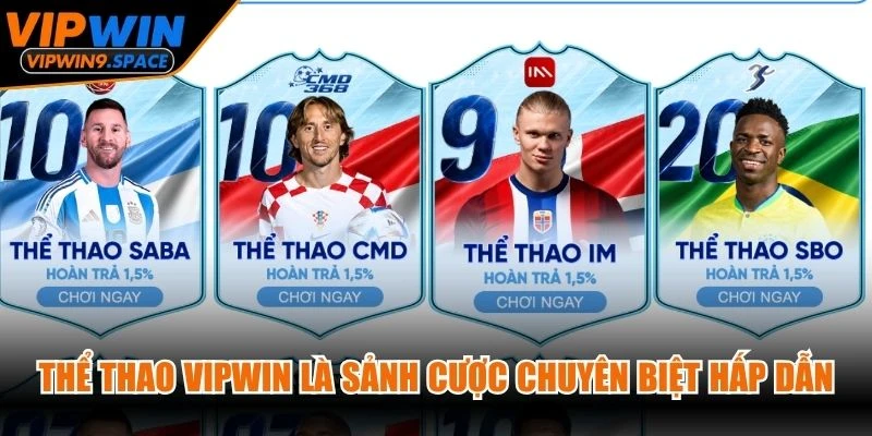 Thể thao VIPWIN là sảnh cược chuyên biệt hấp dẫn
